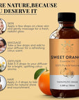 Sweet Orange Essential Oils for Skin | Pure Natural Cold Pressed & Undiluted Sweet Orange Oil |Use in Aromatherapy Diffusers for Mood Lifting | 3.38 fl. Oz