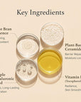 I'm from Rice Cream 1.76 Ounce, Rice Bran Essence with Ceramide, Glowing Look, Improves Moisture Skin Barrier, Deep Nourishment, Smooths and Evens Skin Tone, K-Beauty