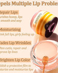2 PCS Bee Lip Balm Lip Wrinkle