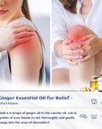 HIQILI Pure Ginger Essential Oil 3.38 Fl Oz, Pure Natural Premium Ginger Oil for Massage, Diffuser, Large Bottle with Dropper & Gift Box -100ml