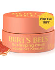 Burt’s Bees Moonlight Orchard Lip Sleeping