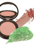 Better'n Ur Cheeks (DUSTY ROSE) MINERAL BLUSH |