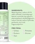 J.R. Watkins Daily Hydration Shampoo, Aloe & Green Tea - 12 fl oz (Pack of 2)