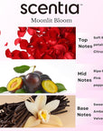Love Collection Fragrance Oil Set – Essential Oil Blends for Diffusers, Candles & Soaps – Jasmine, Rose, Citrus, Amber & Musk – Made in USA, Phthalate-Free – Holiday Gift Set 3×20ml (2.03 fl oz)