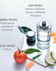 Mercedes-Benz for Men - Long Lasting Cologne for Men - Bergamot, Lemon and Cedar Notes - Everyday Wear Eau de Toilette in Iconic Bottle - 8.1 oz EDT