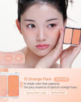 2aN Dual Color Face Blusher, Buildable & Blendable Cheek Color, Natural & Vibrant Finish, Long-Lasting Powder Blush, Blends Easily with Natural Skin Tones, Korean Beauty (12 Orange Flare)