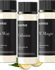 Scentia Hotel Diffuser Oil | Aromatherapy Fragrances Inspired by 5-Star Hotels | Luxurious Scents Gift Set - 3 x 20ml Bottles Set - The 1 Hotel Miami, W Hotels - Thanksgiving & Holiday Gift