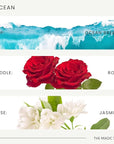 The Magic Scent Ocean Diffuser Oil - Hotel & Home Luxury Scents Inspired by Bali Resort - Oil Scents for Home Designed for Use in All Diffusers - 16.9 fl oz, 500 mL