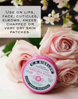 C.O. Bigelow All Purpose Salve Lip
