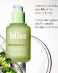 Bliss Niacinamide Disappearing Act Pore
