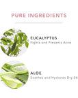 100% PURE Mattifying Face Primer Plumping Makeup Base & Moisturizer with Anti-Aging Seaweed Collagen - Long-Lasting Matte Pore Diminishing Cosmetics Prep, Flawless Smooth Skin Hydration - 1 oz