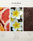 Scentiment Diffuser Oil - Fresh Rain | Aromatherapy Home Fragrance |Inspired by Marriott® Hotels | Luxurious Scent with Notes of Fresh Grapefruit and Crisp Red Currant (50 mL)