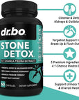 Stone Breaker Chanca Piedra Capsules - Stone Detox for Kidney Cleanse Detox, Gallbladder Formula with Hydrangea Root - Natural Gallstones Kidney Stones Dissolver Gallbladder Flush Pills - 60 Capsules
