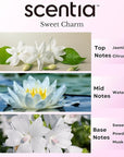 Love Collection Fragrance Oil Set – Essential Oil Blends for Diffusers, Candles & Soaps – Jasmine, Rose, Citrus, Amber & Musk – Made in USA, Phthalate-Free – Holiday Gift Set 3×20ml (2.03 fl oz)