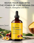Botanic Hearth 100% Pure Batana Oil For Hair Growth | Infused with Batana Kemel Oil | Hair Oil Repairs Dry Damaged Hair, Strengthening, Healthier - Hair Tonic, 4.0 fl oz (pack of 2)