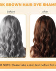 Dark Brown Hair Dye Shampoo 3 in 1 for Gray Hair Coverage, Hair Color Shampoo for Women Men, Herbal Ingredients Champu Para Pintar el Cabello (16.9 Oz)