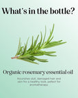 Certified Organic Rosemary Oil for Hair - Pure USDA Organic Rosemary Essential Oil for Hair Skin and Nails Plus Aromatherapy - Oil for Dry Scalp Treatment and Enhanced Volume and Shine