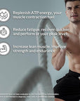 Naked Pure Micronized Orange Creatine Monohydrate - 36 Servings - 500 Grams, 1.1Lb Bulk, Vegan, Non-GMO, Gluten Free, Soy Free. Aid Strength Gains, No Artificial Ingredients Creatine
