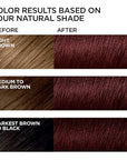 Fvquhvo Wine Red Hair Dye Shampoo 3 in 1 - 16.9 fl oz / 500 ml