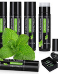 4 Pcs Lip Balm with Gift Lips