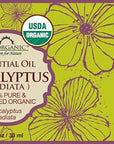 US Organic 100% Pure Eucalyptus Essential Oil (Radiata) - USDA Certified Organic, Steam Distilled - W/Euro droppers (More Size Variations Available) (30 ml / 1 fl oz)