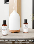 Hotel Fragrance Oil - Black Velvet Essential Oils for Scent Diffuser - Black Coffee, Caramel, Cinnamon, Vanilla, Patchouli - Home Luxury Scents Aroma Fragrance for Home, Office