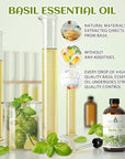 EVOKE OCCU Basil Essential Oil for Skin Massage Diffuser and Candle Making- 4 Fl Oz
