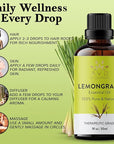 Lemongrass Essential Oil | 100% Pure and Natural USDA Organic Lemon Grass Oil | for Aromatherapy Skin Home Diffusers Carrier | 3.38 fl. Oz