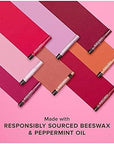 Burt's Bees Shimmer Lip Tint Set,