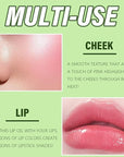 6Pcs Plumping Aloe Vera Lip Oil, Big Brush Lip