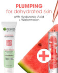 Garnier SkinActive Green Labs Hyalu-Melon Smoothing Milky Washable Cleanser with Hyaluronic Acid + Watermelon for Dehydrated Skin, Fine Lines, 2 Count (Packaging May Vary)