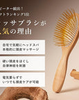 Gua Sha Hair & Scalp Brush: