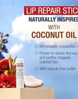 Aquaphor Naturally Inspired Lip Repair Stick with Coconut Oil and Natural Shea Butter, Hydrating Lip Balm Immediately Relieves Dryness, 0.17 Oz Stick
