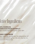 The Face Shop Rice Ceramide Moisturizing Emulsion - Rice Extract - Lightweight Face Moisturizer - Brightening - Hydrating Targets Dryness - Strengthens Skin Barrier - Face Lotion - Korean Skin Care
