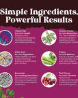 GCleanse Uric Acid Support Supplement - Uric Acid Cleanse Joint Support Supplement with Chanca Piedra Tart Cherry Celery Seed Extract and Bromelain - Herbal Liver and Kidney Cleanse Detox and Support