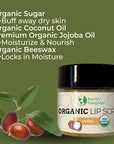 Earth's Daughter Organic Coconut Lip Scrub 0.7 oz - USDA Organic, Fair Trade, Sugar, Jojoba Oil, Beeswax, Coconut Oil, Calendula Extract