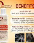Folliculitis Treatment Hair Conditioner | Moisturize Sensitive Skin, Itchy, Dry Scalp & Damaged Hair Repair | Herbal Extracts for Soft, Shiny Hair | Gentle Color-Safe Detangling Solution