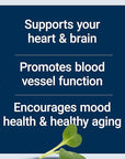 Life Extension Super Omega-3 EPA/DHA Fish Oil, Sesame Lignans & Olive Extract – Heart Health, Brain Health, Inflammation Health Support, Cholesterol Health Support, Gluten-Free, Non-GMO, 60 Softgels