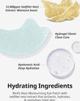 SNP [K Beauty Bird's Nest Aqua Moisturizing Eye Patch | Hydrating and Cooling for All Skin Types | Maximum Hydration Eye Patches | Korean Skincare Eye Mask | 60 Patches
