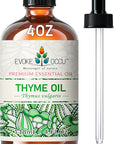 EVOKE OCCU Thyme Essential Oil for Diffuser, Massage, Candle and Soap Making - 4 FL Oz