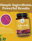 L Lysine 1000mg per serving Nutritional Supplements - L-lysine Essential Amino Acids for Eye Health Lip Care Bone Support Immune System Support Muscle Growth and Vegetarian Collagen - 240 Tablets