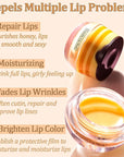 Bee Lip Balm Lip Mask Honey Wrinkle