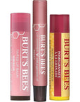 Burt's Bees Mistletoe Kiss Lip Care Pomegranate,
