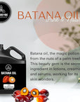 Naturevibe Botanicals Batana Oil 32 Ounces | 100% Pure and Natural | Great for Skin Care and Hair Care