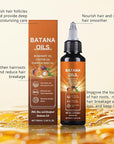 Batana Oil for Hair, 4-in-1 Liquid, Rosemary, Pumpkin Seed & Castor Oil, Unisex Adult, Unscented, 2Pcs, 1 Fl Oz
