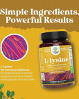 L Lysine 1000mg Free Form - High Strength L-Lysine Supplement for Eye Health Lip Care Collagen Synthesis and Immune Support - Essential Amino Acid Vegan Non-GMO 1000mg per Serving - 100 Tablets
