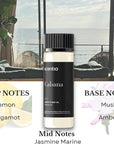 Scentia Hotel Diffuser Oil | Aromatherapy Fragrances Inspired by 5-Star Hotels | Luxurious Scents Gift Set - 3 x 20ml Bottles Set - The 1 Hotel Miami, W Hotels - Thanksgiving & Holiday Gift