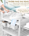 Beauty Trolley Cart with Wheels, Esthetician Cart with Handrail, Bucket and 2 Big Drawer, 3 Tier Heavy Duty Vacuum Therapy Machine Trolley, Load 330lbs, 360° Rotate Silent Wheels