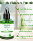 Aloe Vera Spray for Whole Body Skin, Aoe Vera Spray Extract from Freshly Cut Aloe and Infused wirh Cucumber Essence,Fast Absorbing, Easy to Use, Travel Set, 1.73 oz