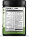 TERRA ORIGIN Healthy Greens Powder, Superfoods, Probiotics, Enzymes, Immune & Digestive Support, Energy & Wellness Boost, Gut Health, 30 Servings (1-Pack, Kiwi Strawberry)